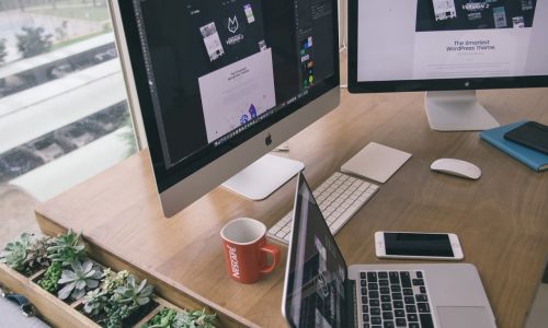 Project Management Professional (PMP)